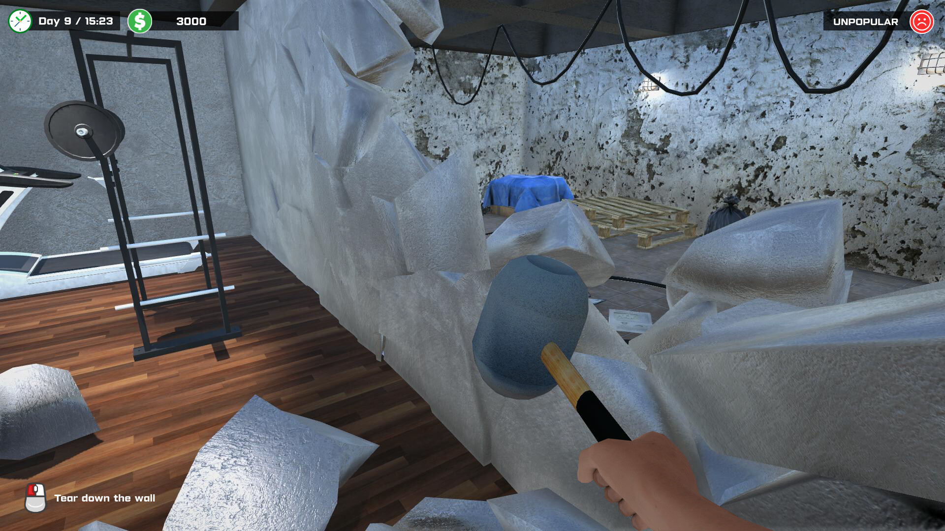 Скриншот: Gym Manager