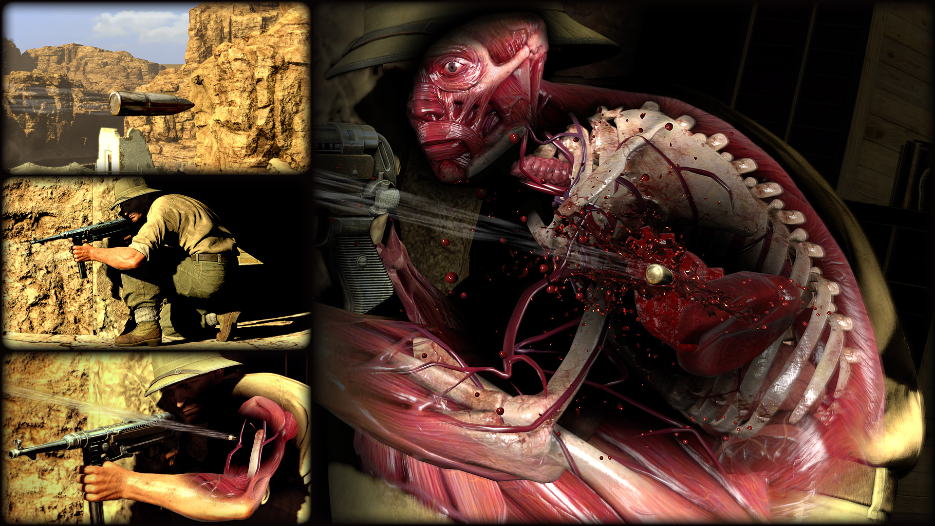 Скриншот: Sniper Elite 3