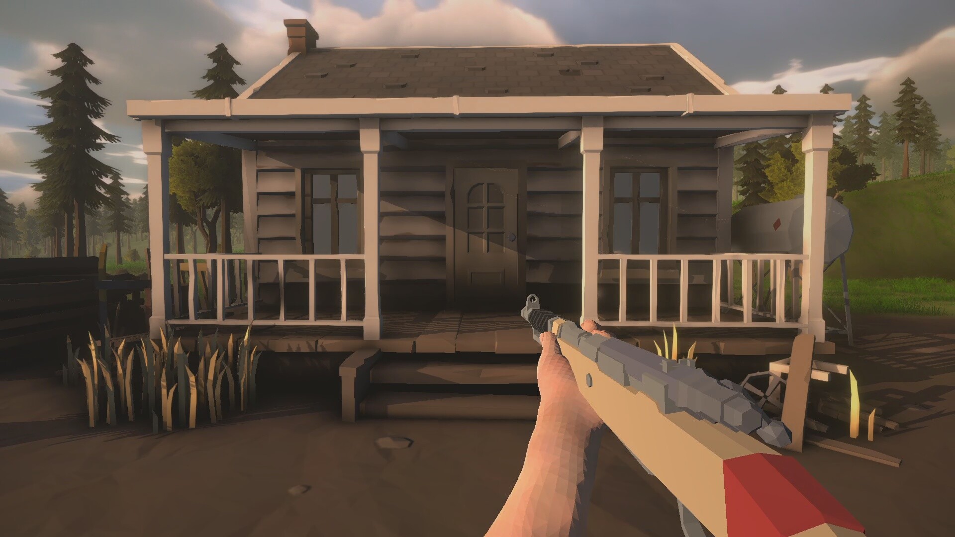 Скриншот: Wild Frontier