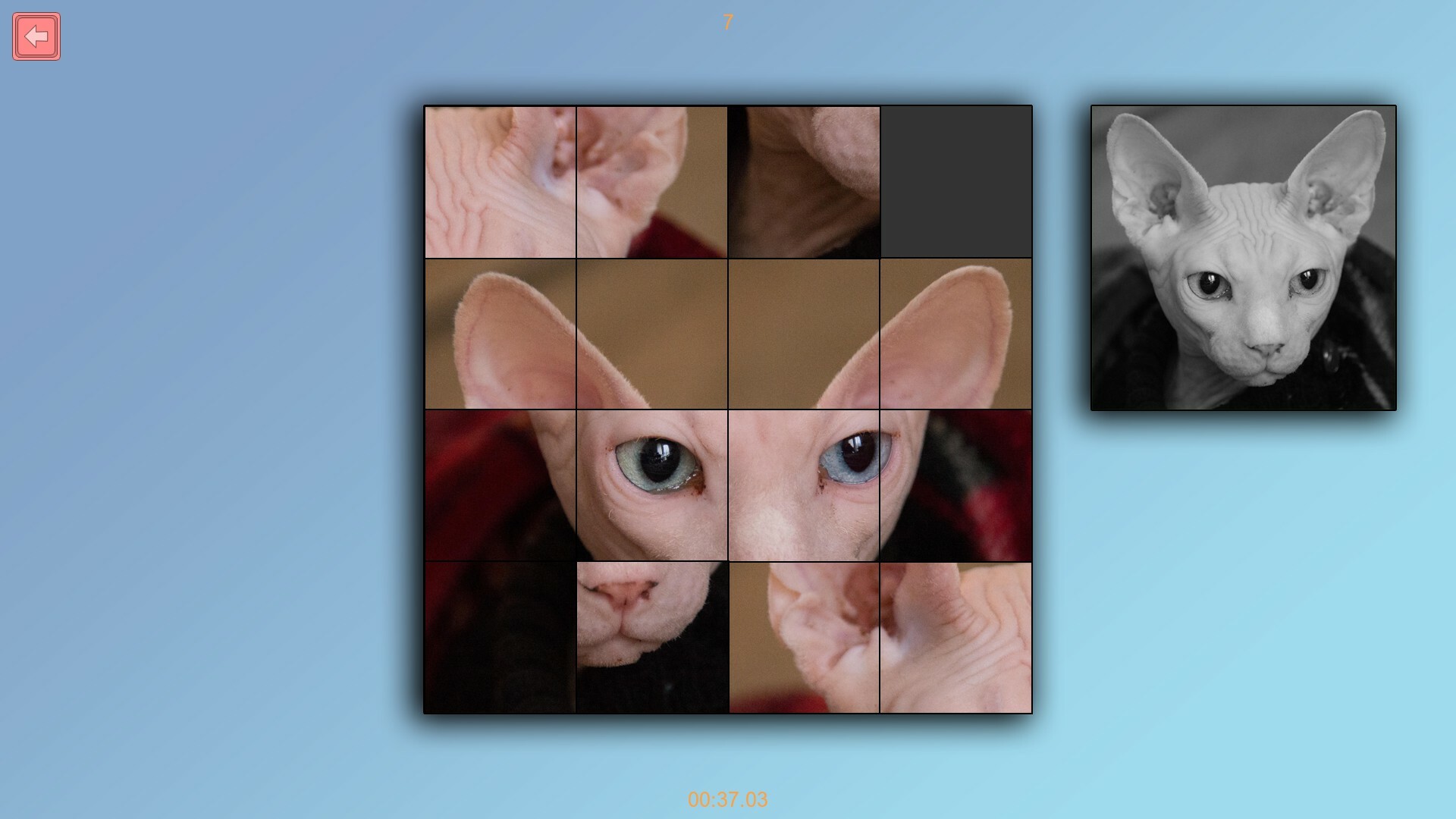 Скриншот: TitTok Kitty