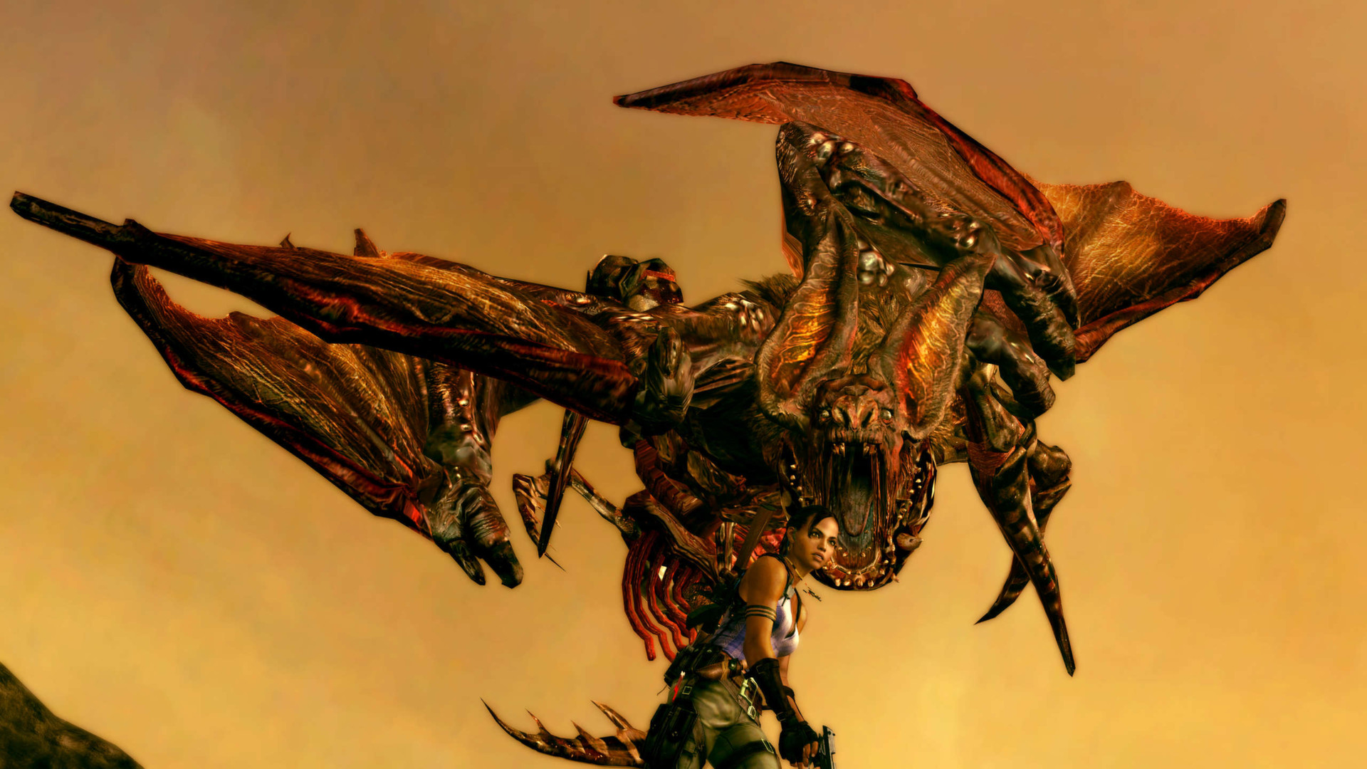 Скриншот 43: Resident Evil 5