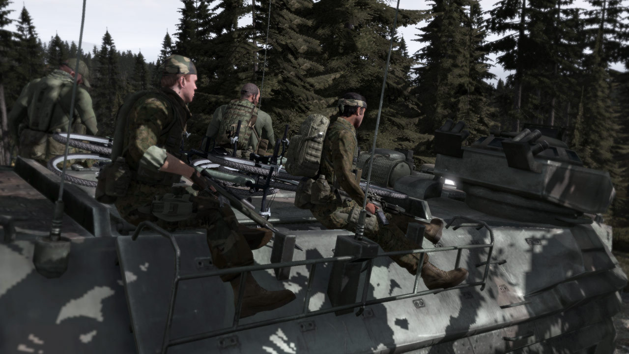 Скриншот: Arma 2
