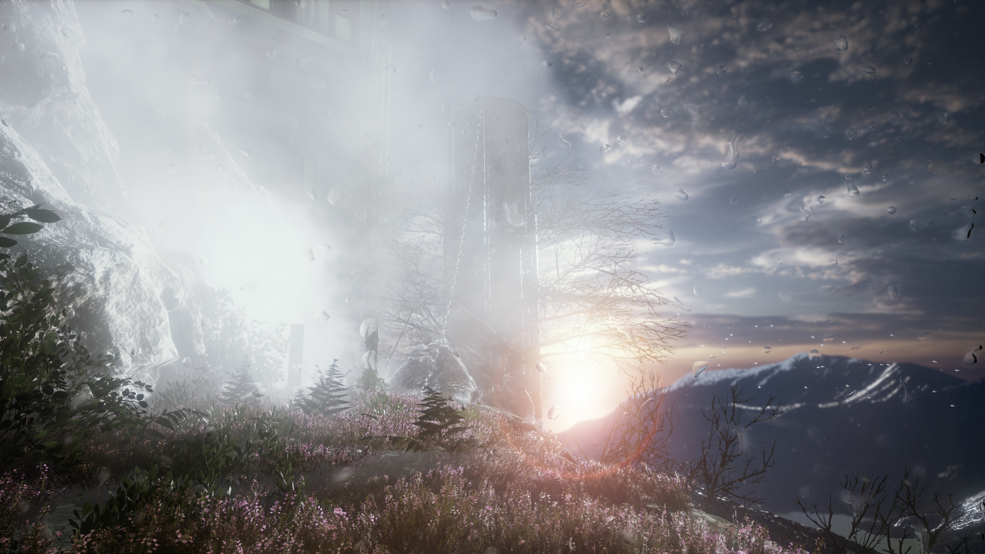 Скриншот: The Butterfly Sign