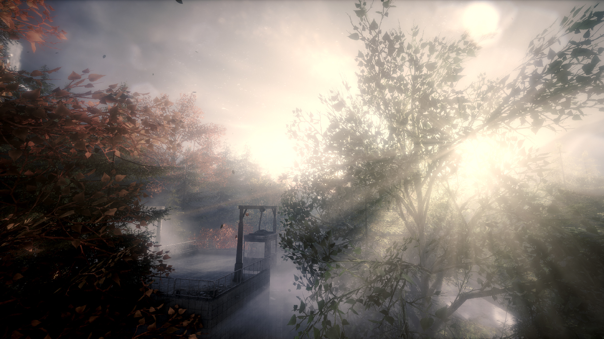 Скриншот 13: The Butterfly Sign