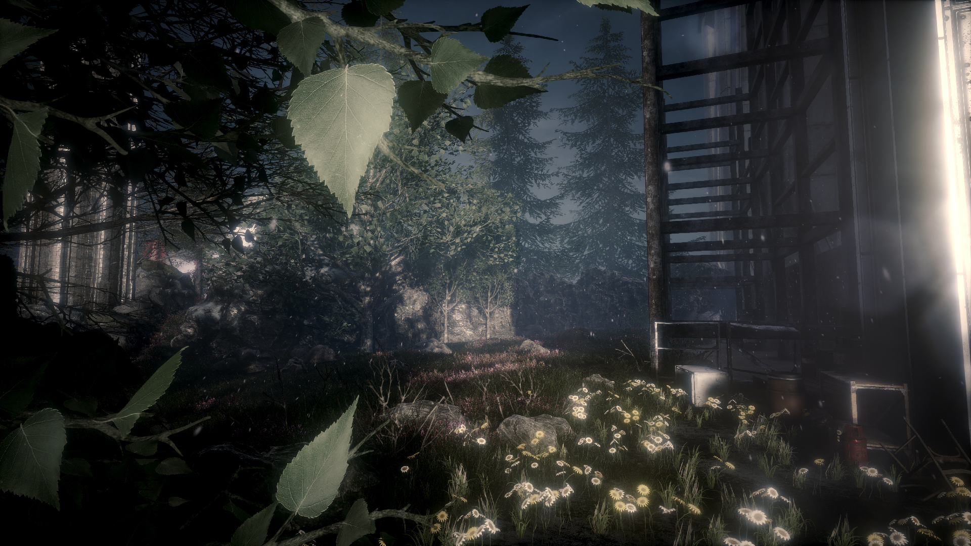 Скриншот 14: The Butterfly Sign