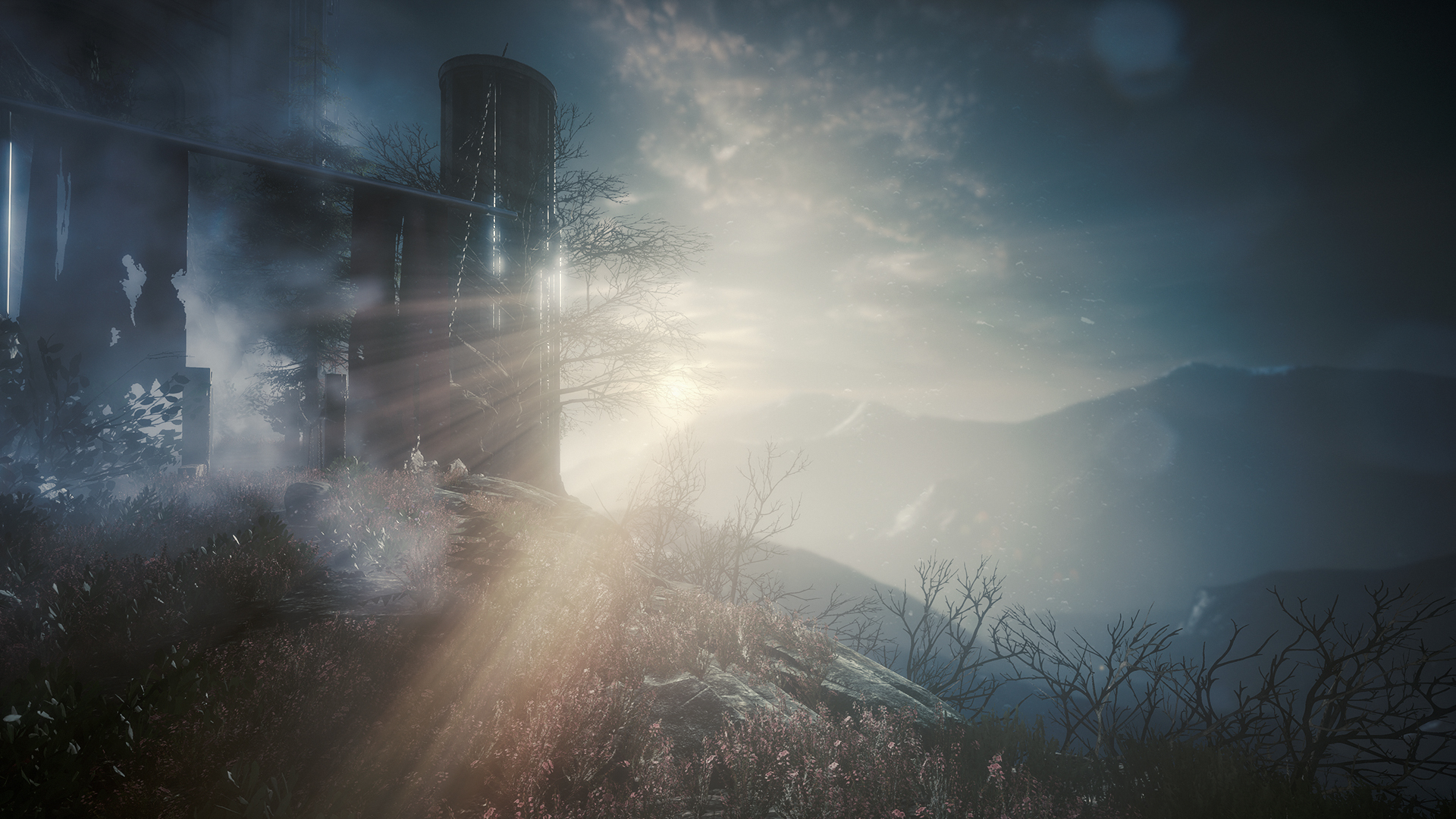 Скриншот 15: The Butterfly Sign