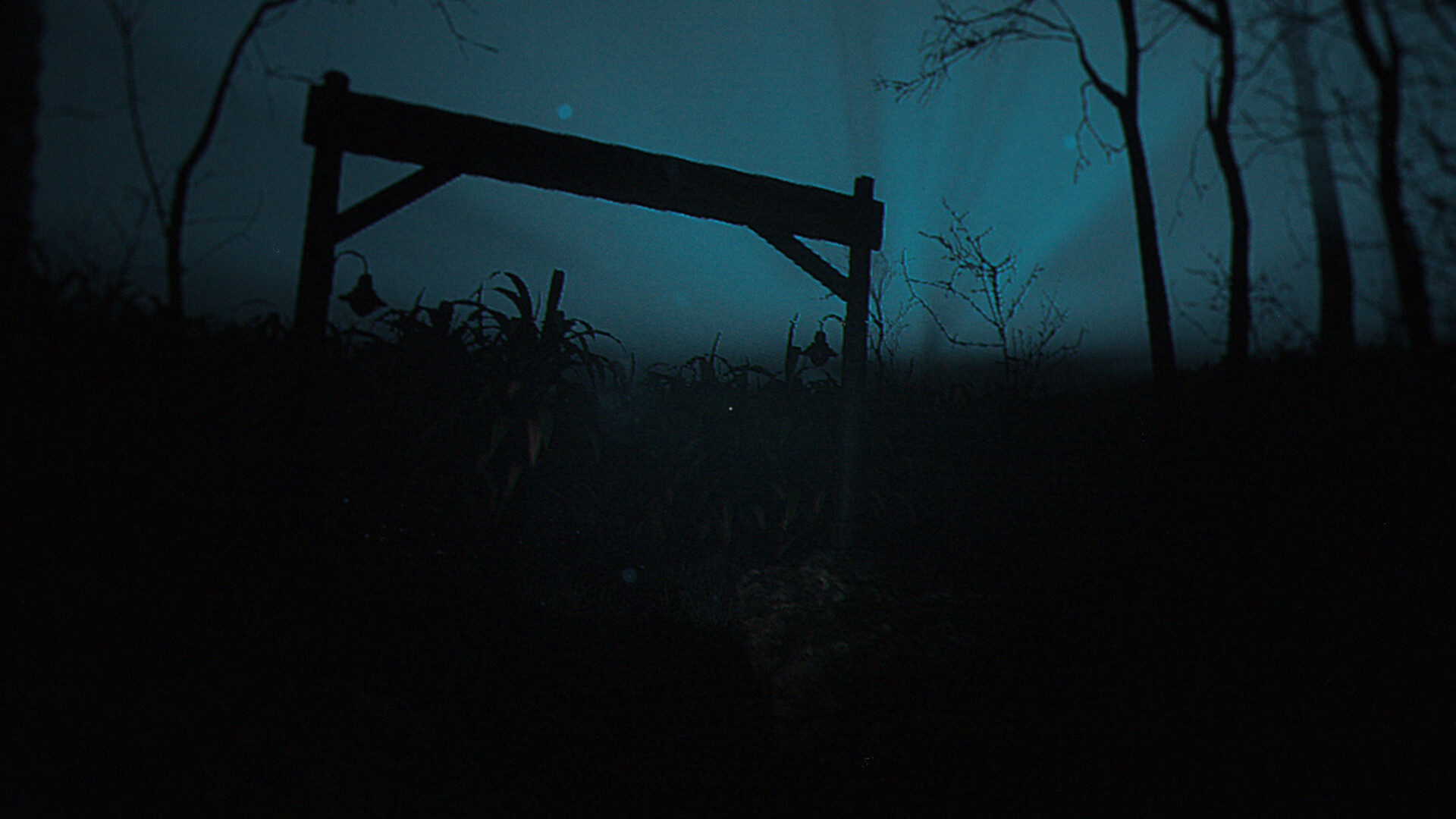 Скриншот 11: The Strange Lights