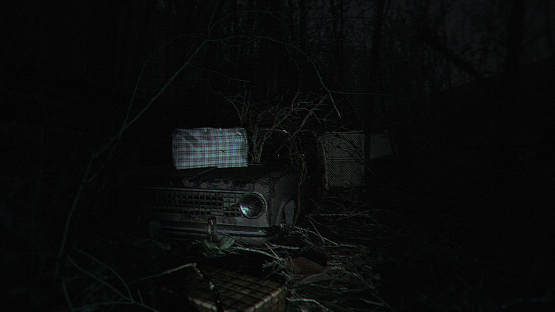 Скриншот: The Strange Lights