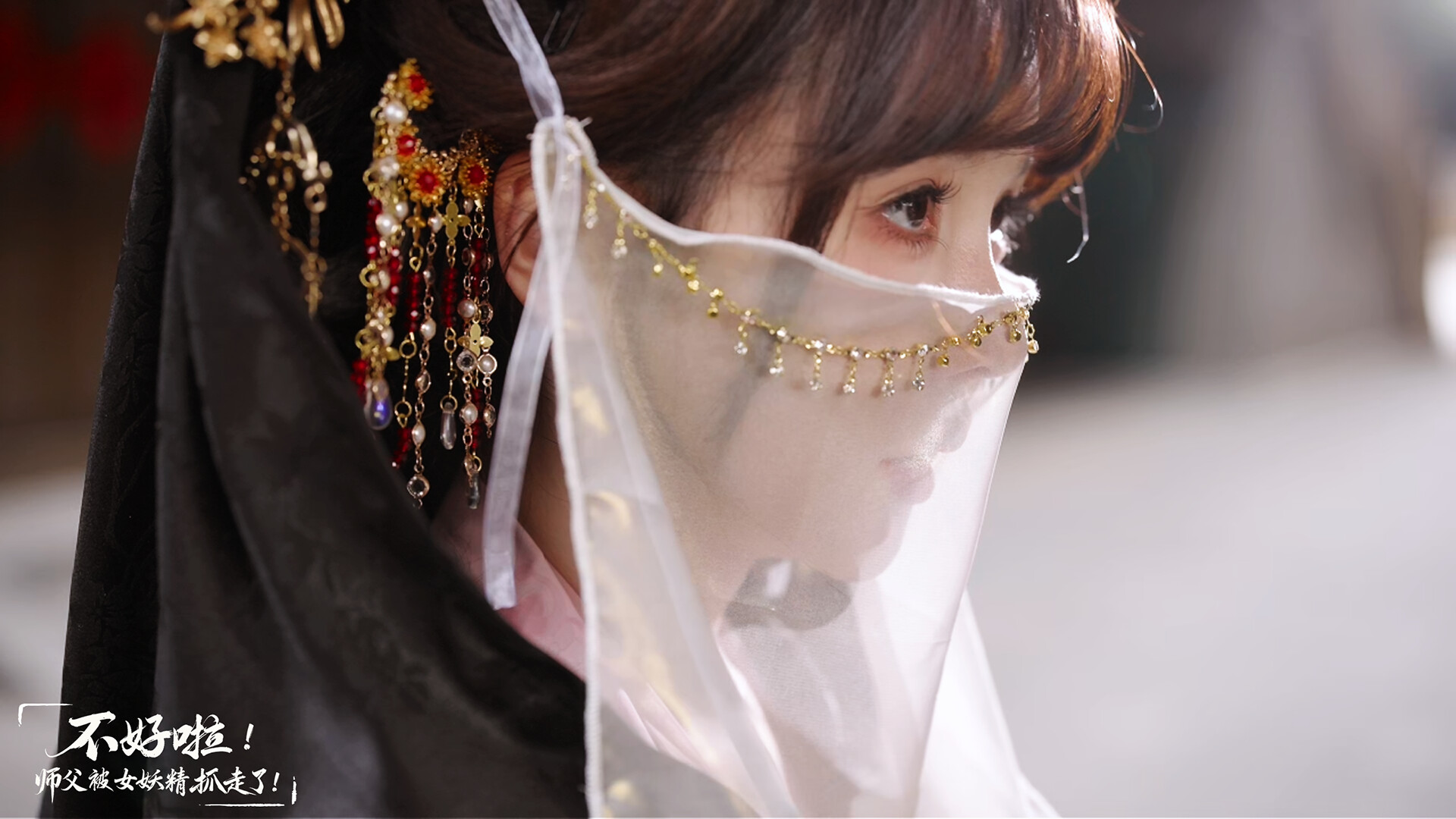 Скриншот: SIFU Kidnapped! Adventure in the Women's Kingdom