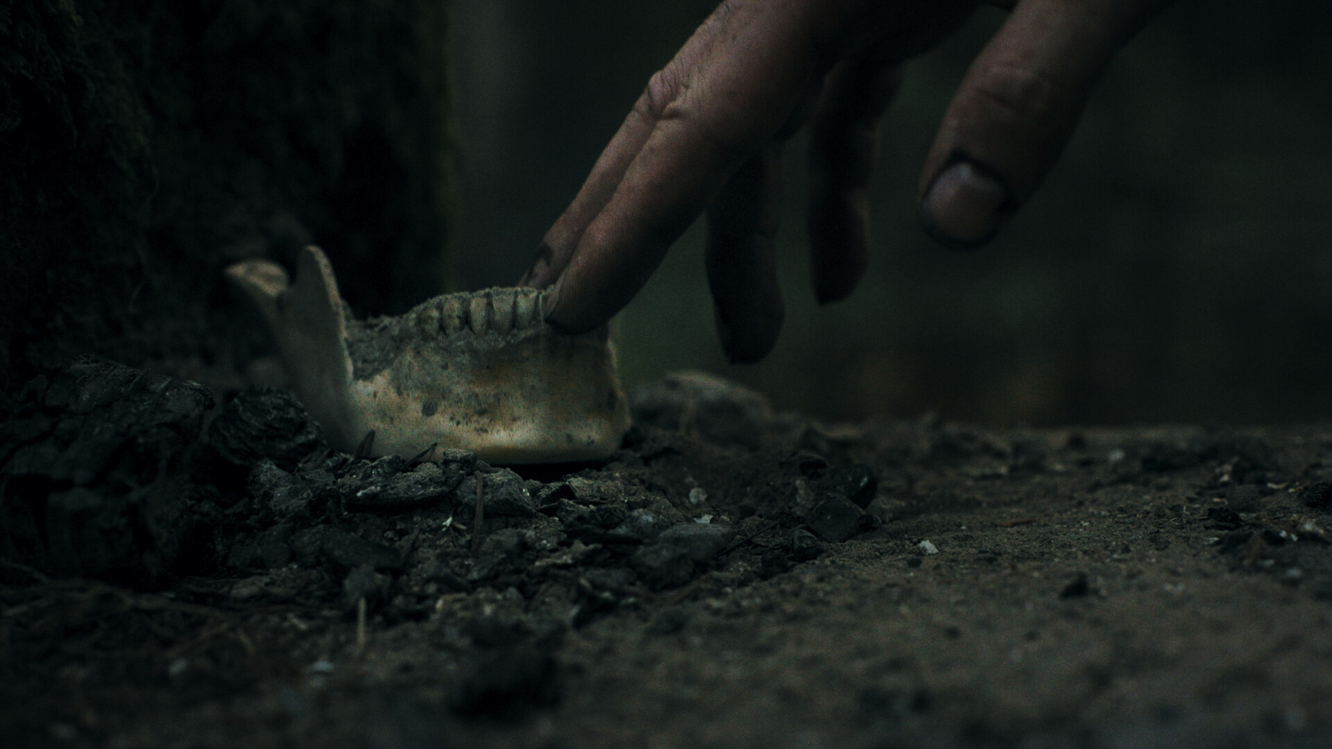 Скриншот 8: Heart of the Forest