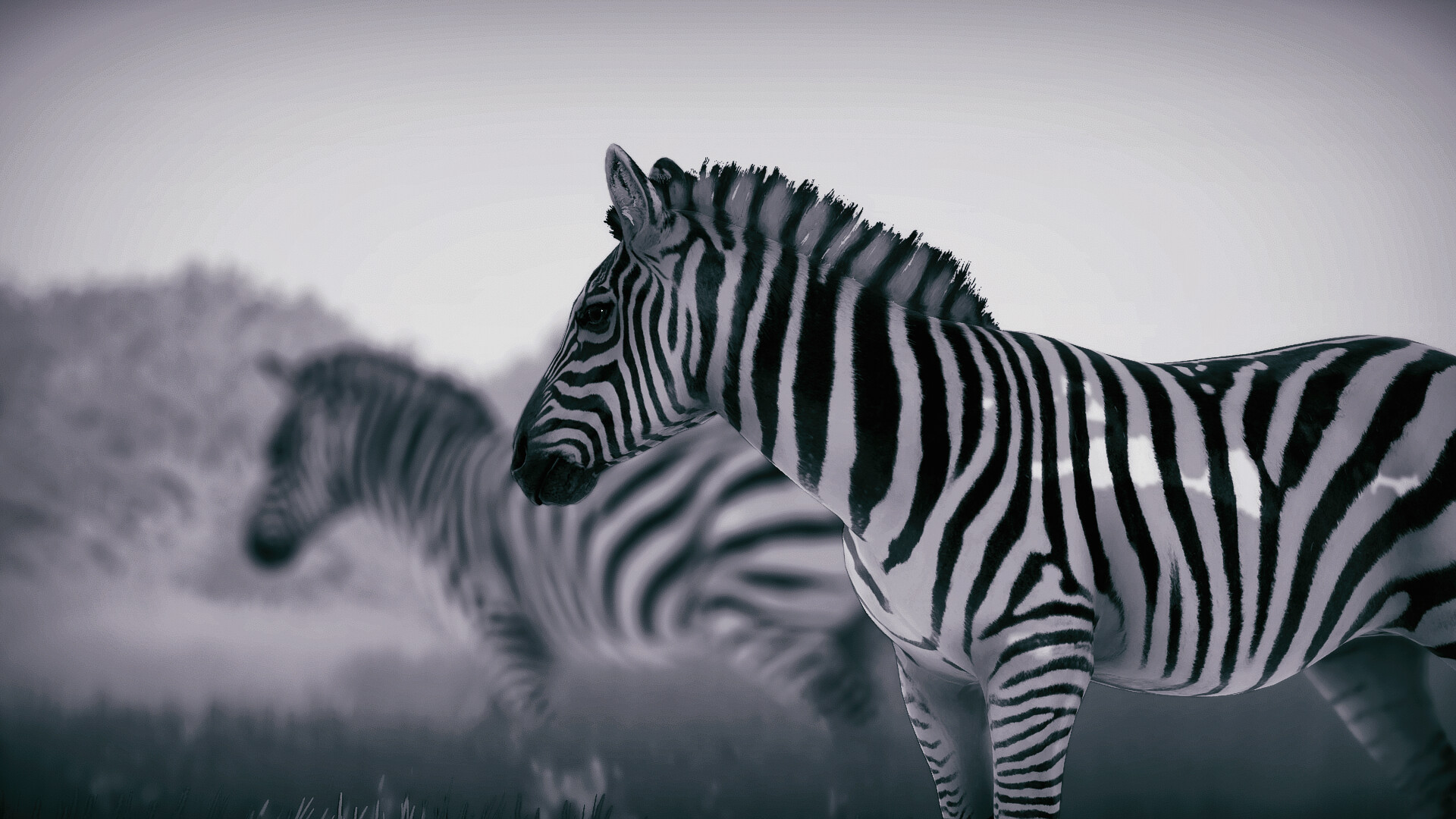 Скриншот: Seclusa