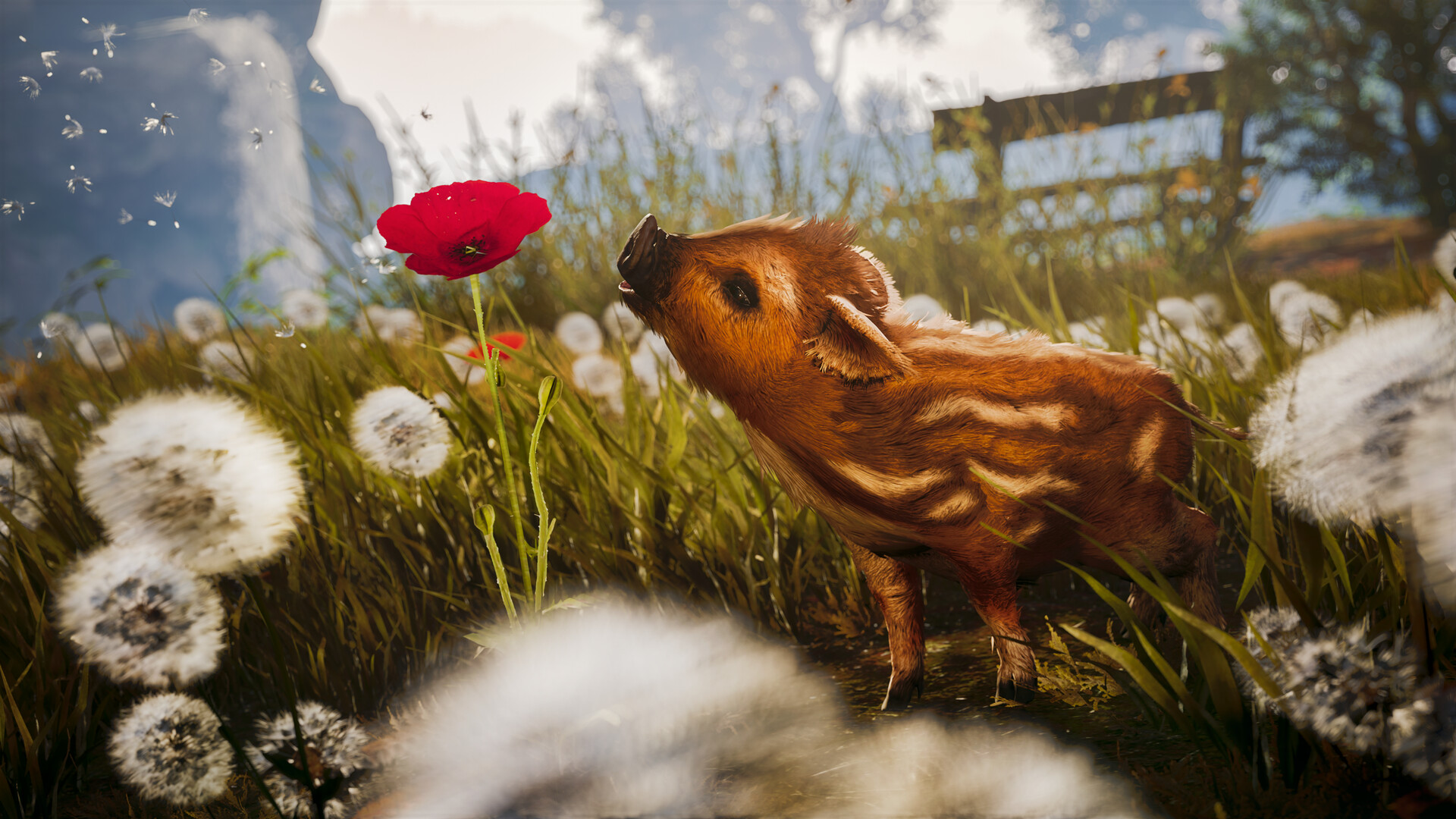 Скриншот: Adorable Adventures