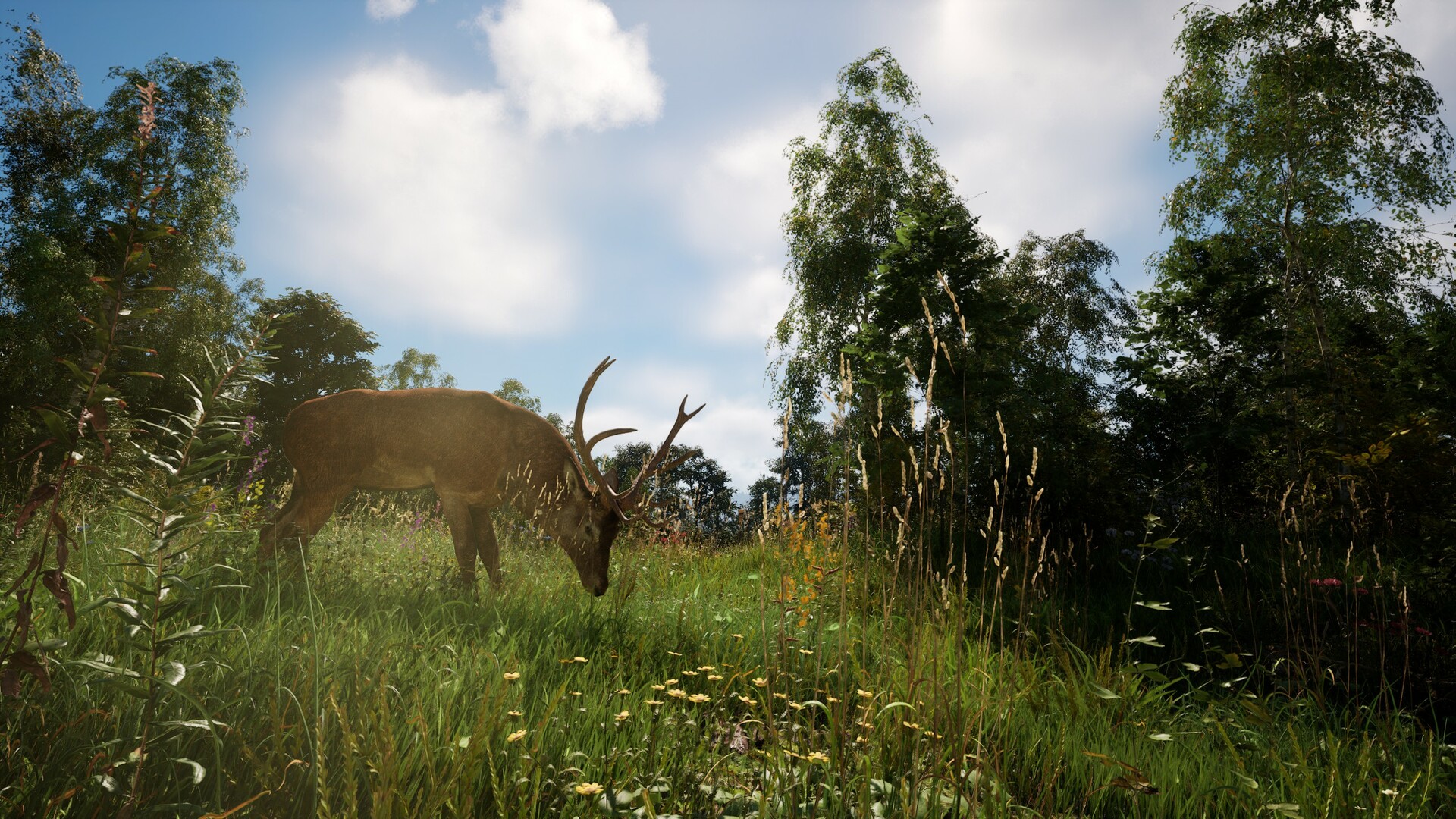 Скриншот: DREADZONE