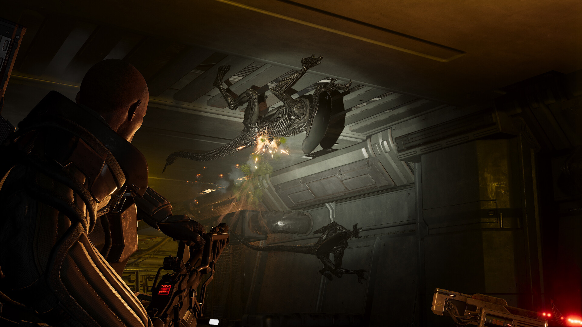 Скриншот: Aliens: Fireteam Elite 2