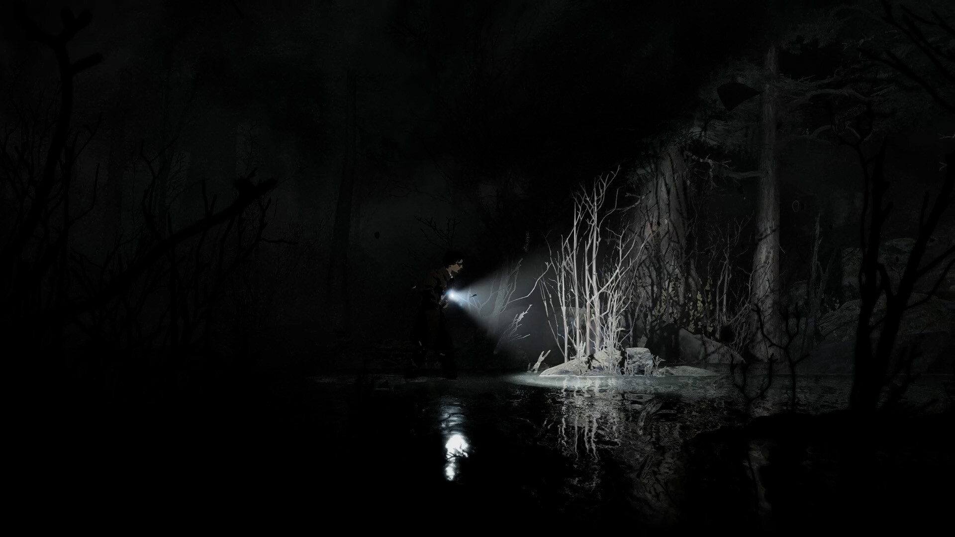 Скриншот: Silver Pines