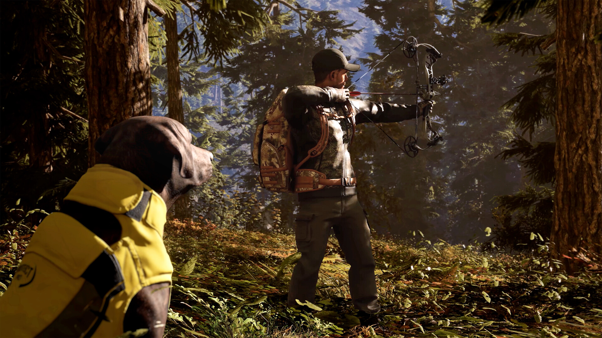 Скриншот: Hunting Simulator 3