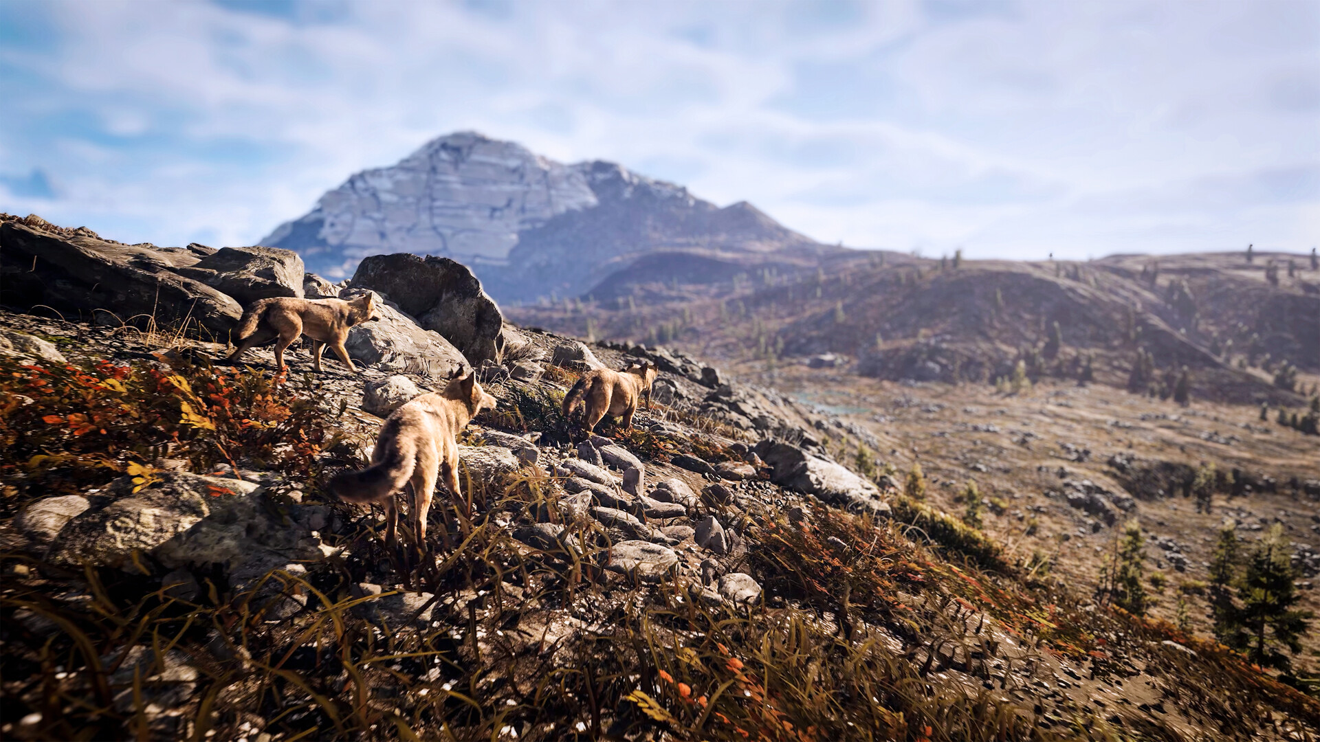 Скриншот: Hunting Simulator 3