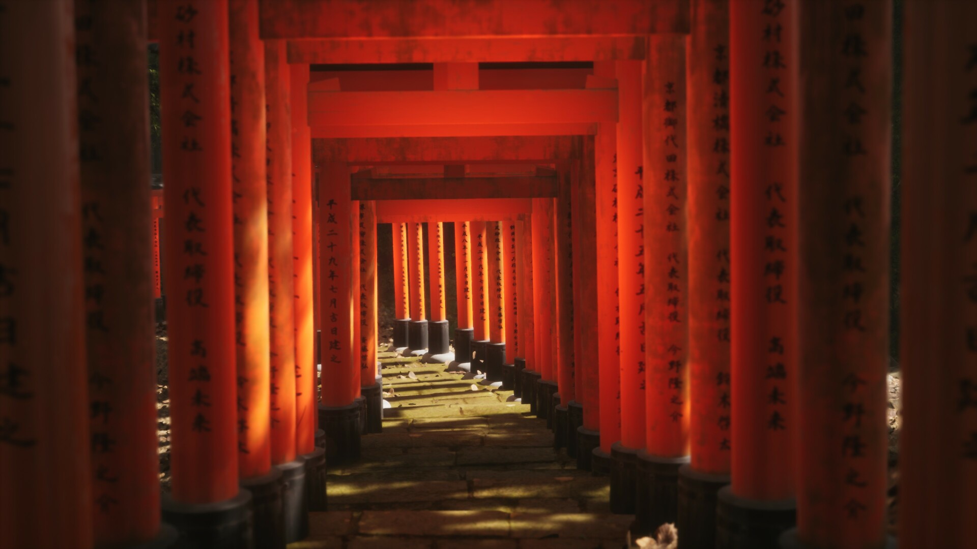 Скриншот: Lushfoil Photography Sim