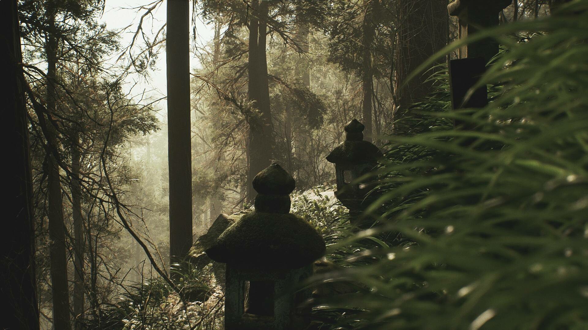 Скриншот 6: Lushfoil Photography Sim