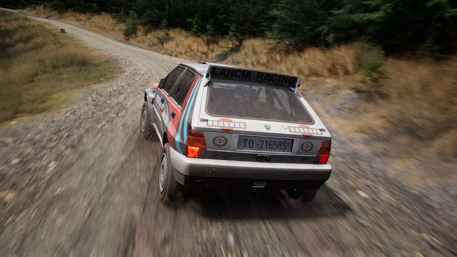 Скриншот 85: Assetto Corsa Rally
