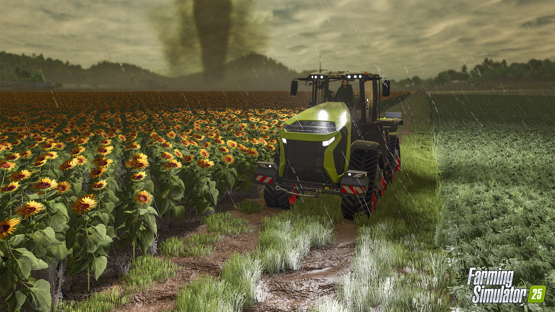 Скриншот: Farming Simulator 25