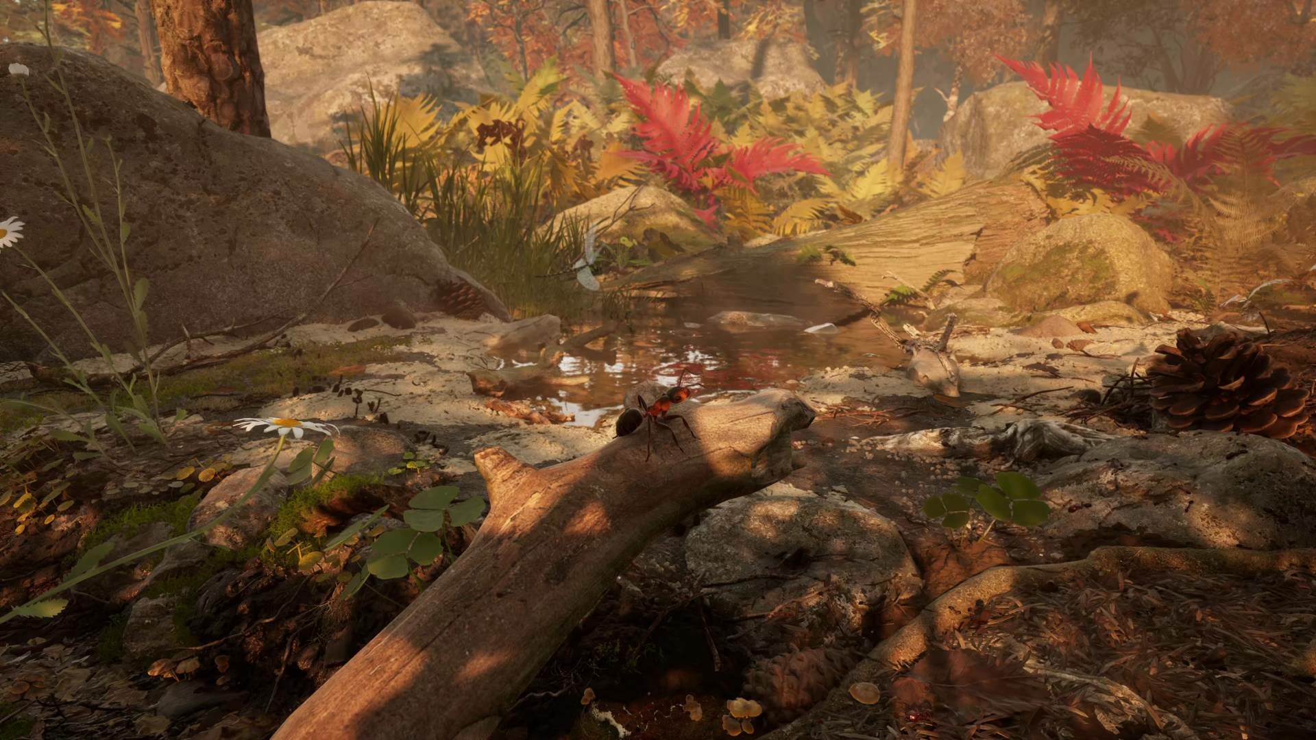 Скриншот 7: Empire of the Ants