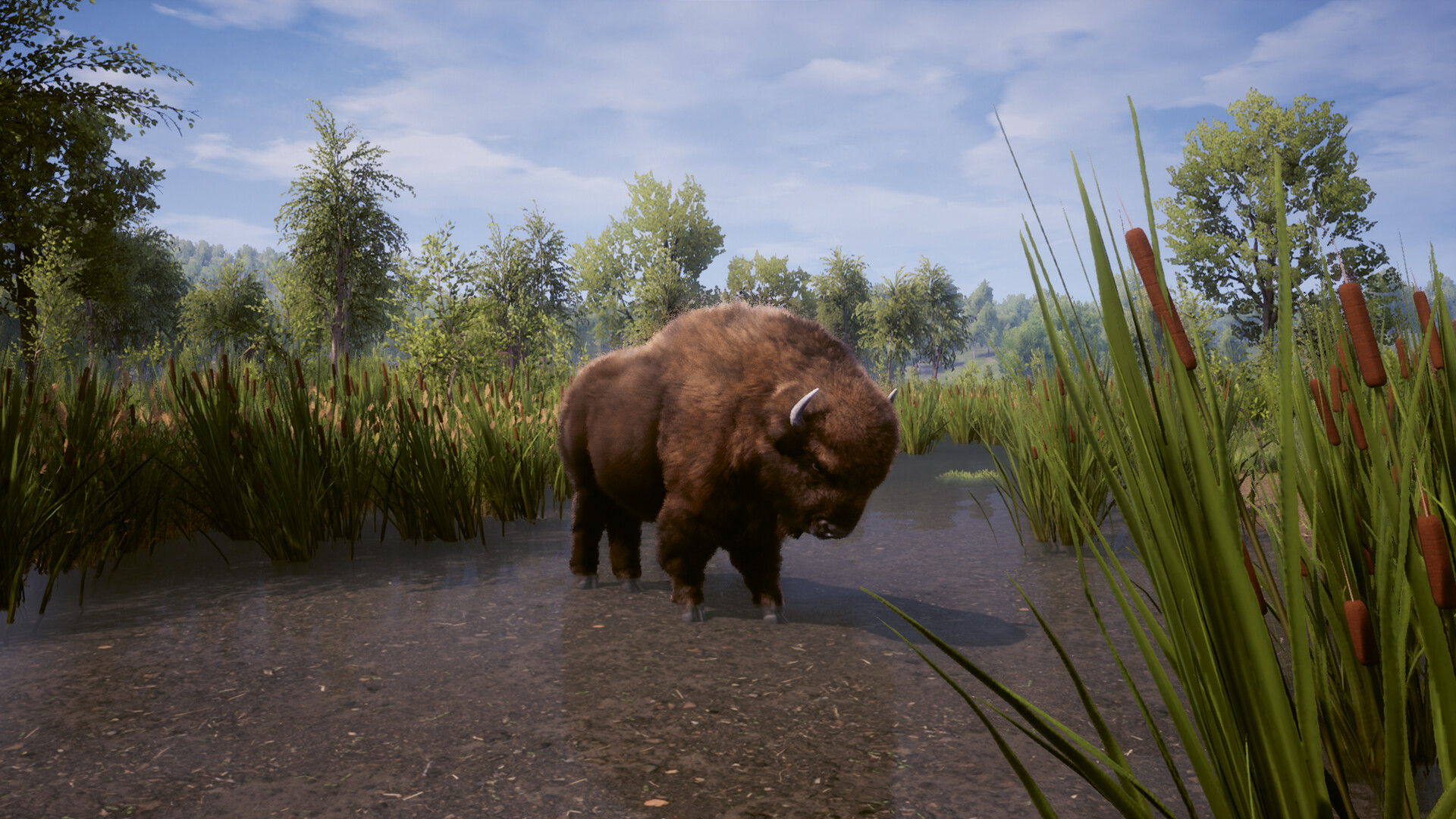 Скриншот 15: Medieval Dynasty