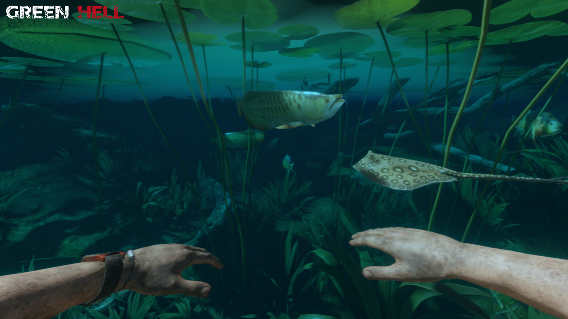 Скриншот 18: Green Hell