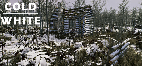 Обложка: The Cold White